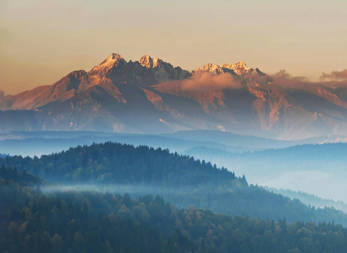 Nie Musisz Być Ekspertem Aby stworzyć ładny dom i ogród. Wystarczy, że Zastosujesz Te 12 Zasad.