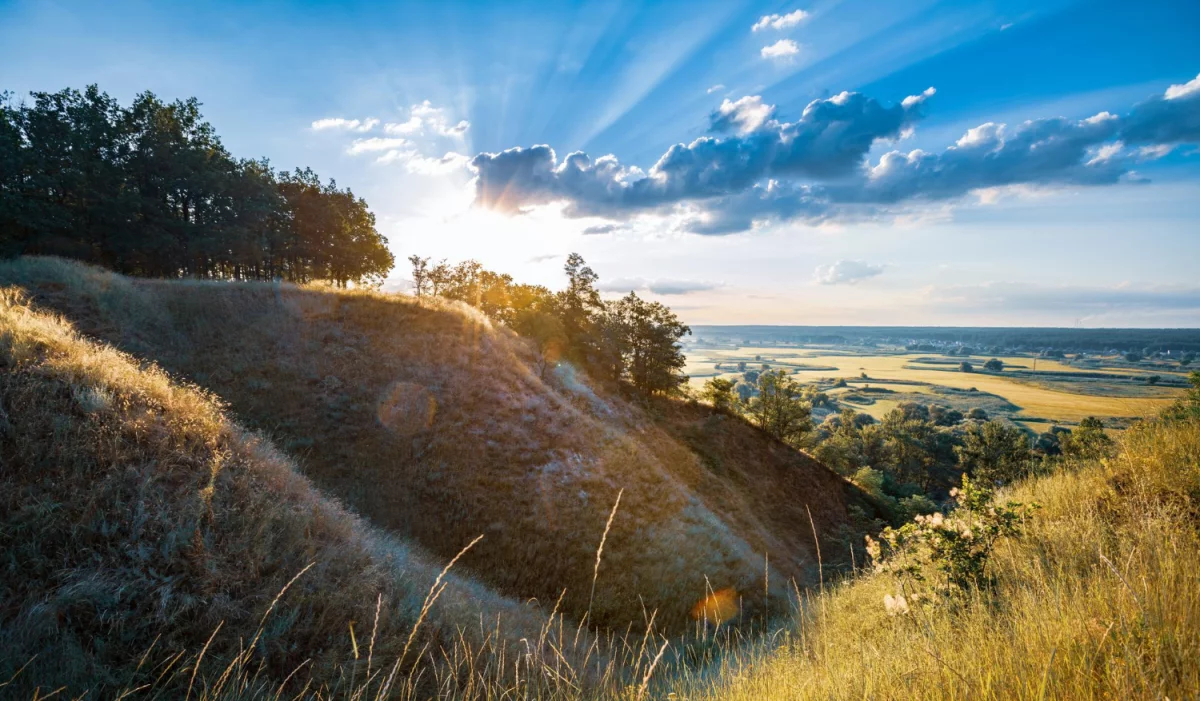 Radzimy jak budować altanki skuteczniej