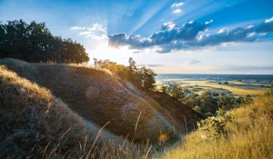 Metody jak dobrze pozycjonować firmę lokalną