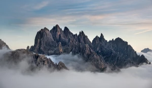 zmienić prawo? Nie?