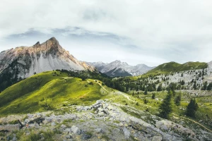 się reklamować w nowy sposób