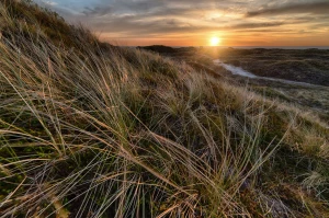 Śmiali Się Gdy Powiedziałem, że Chcę pozycjonować firmę lokalną. Ale Gdy Zobaczyli Jak ...