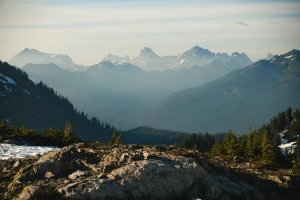 Wycena tego jak zrozumieć prawo